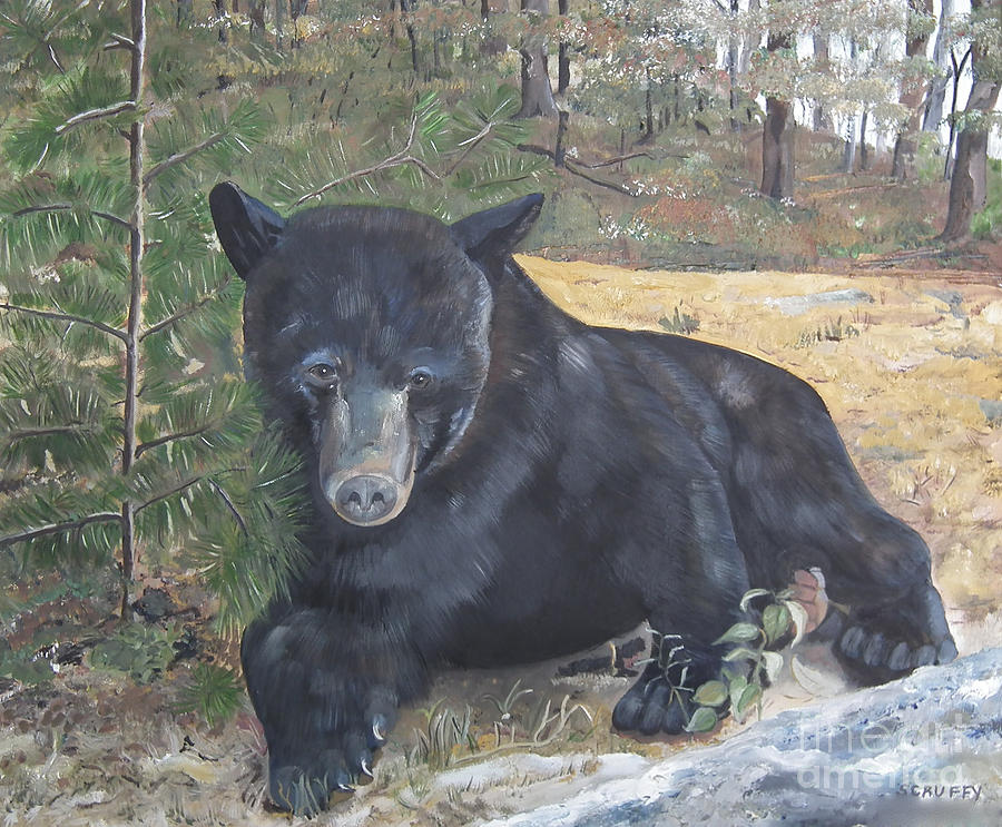 Black Bear - Wildlife Art -Scruffy Painting by Jan Dappen