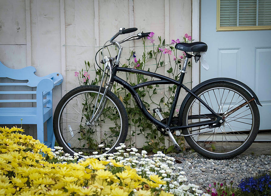 Black Bike and Pink Flowers Photograph by Wayne Meyer