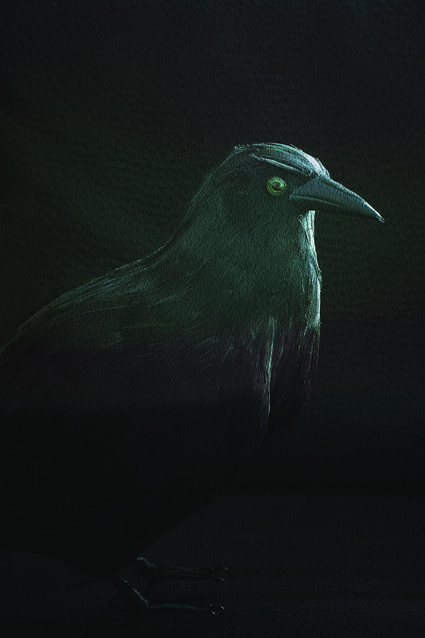 Black Bird Photograph by Margie Hurwich
