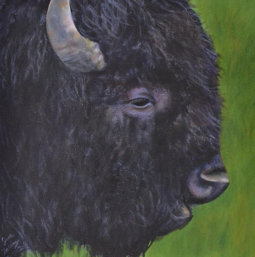 Young Bison Painting By Jane Friday 