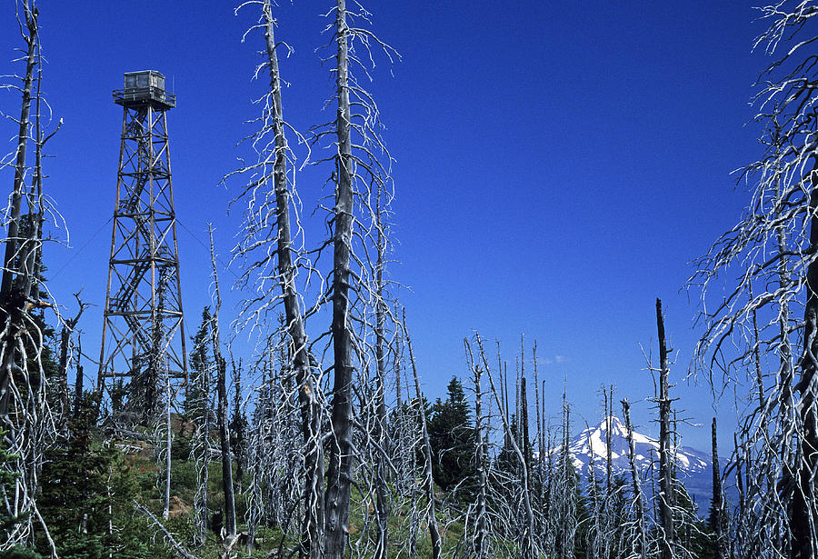 Black Butte Burn and Fire Tower Photograph by Doug Davidson