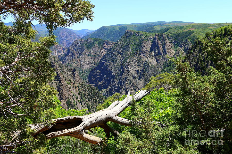 Black Canyon Of The Gunnison National Park Photograph - Black Canyon Of Gunnison by Christiane Schulze Art And Photography