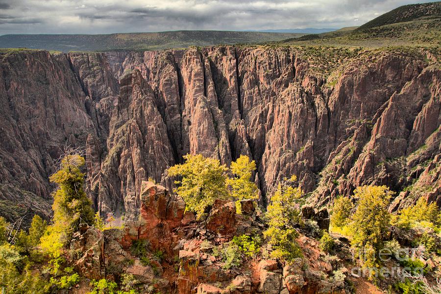 Black Canyon Spires Photograph by Adam Jewell