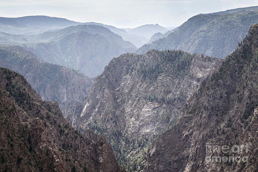 Black Canyon View Photograph by Dennis Hedberg