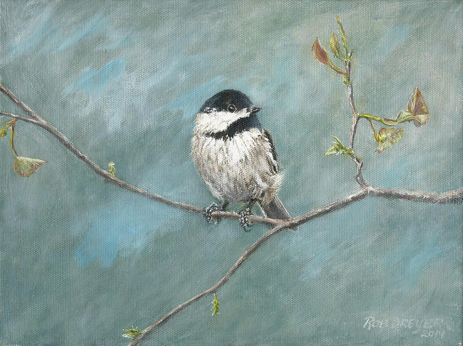 Black Capped Chickadee Painting by Dreyer Wildlife Print Collections 