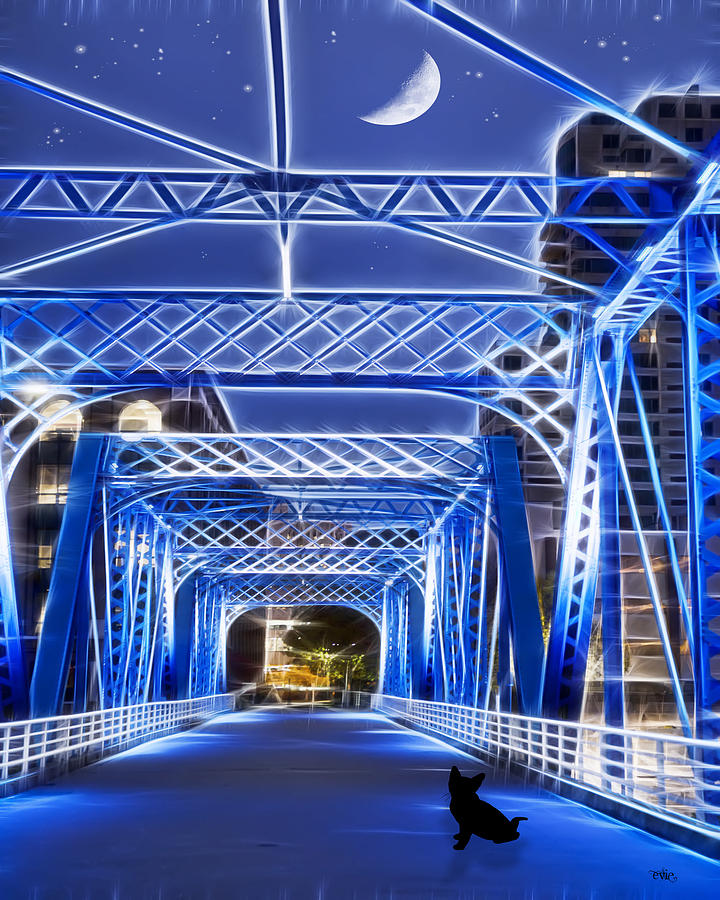 Black Cat Blue Bridge Photograph by Evie Carrier
