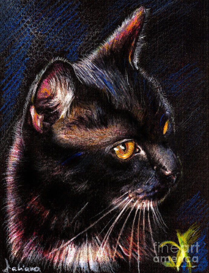 Animal Drawing - Black Cat drawing portrait by Daliana Pacuraru