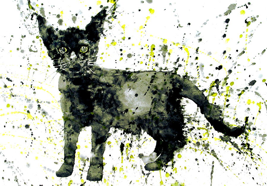 Cat Painting - Black Cat by Fabrizio Cassetta