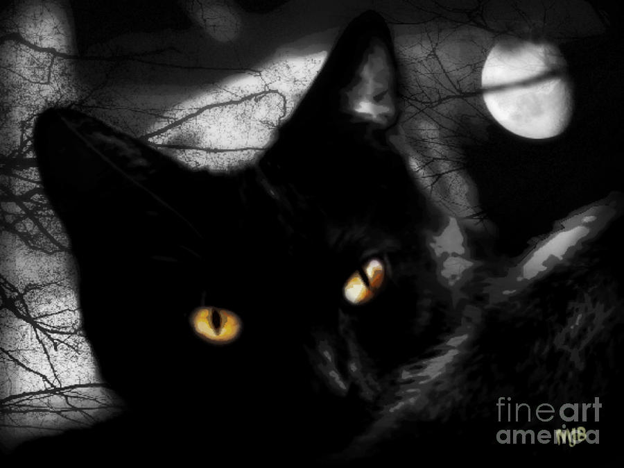 Black Cat Golden Eye Digital Art by Mindy Bench