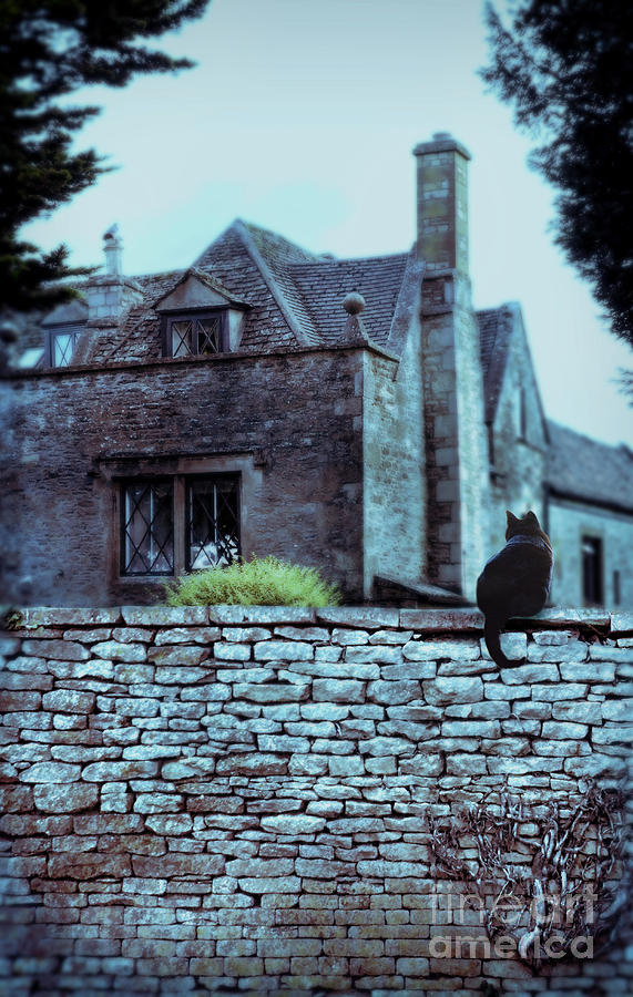 Black Cat on A Stone Wall by House Photograph by Jill Battaglia