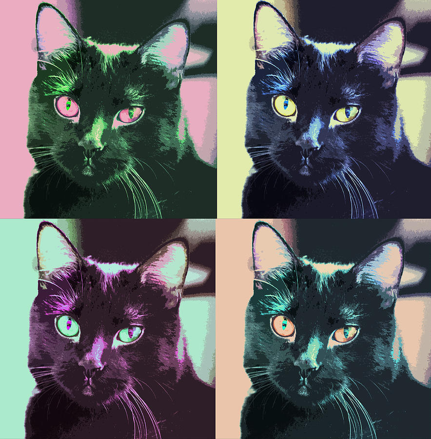 Black Cat Pop Art 2 Digital Art by Susan Stone
