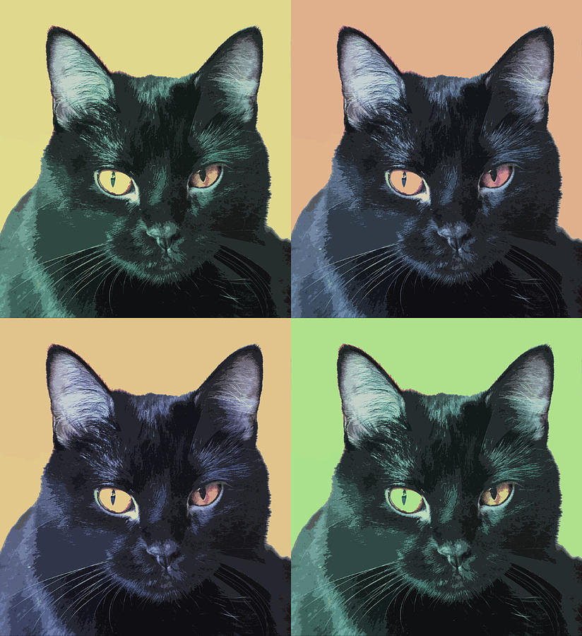 Black Cat Pop  Art Photograph by Susan Stone