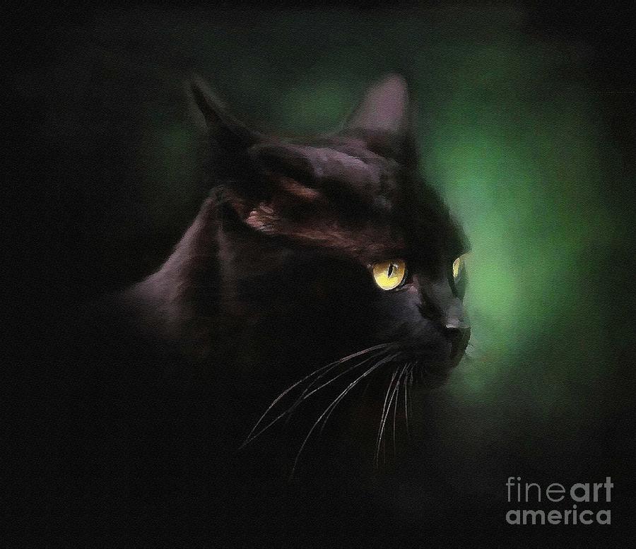 Cat Painting - Black Cat by Robert Foster