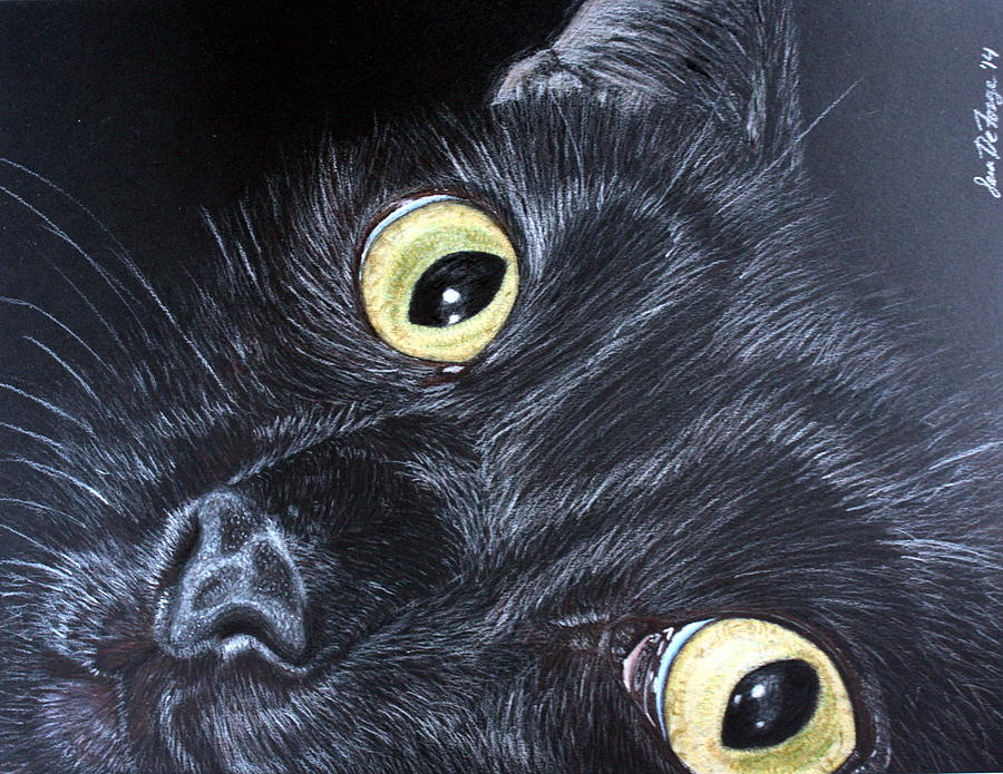 Black Cat Painting by Paint IntoACorner | Fine Art America