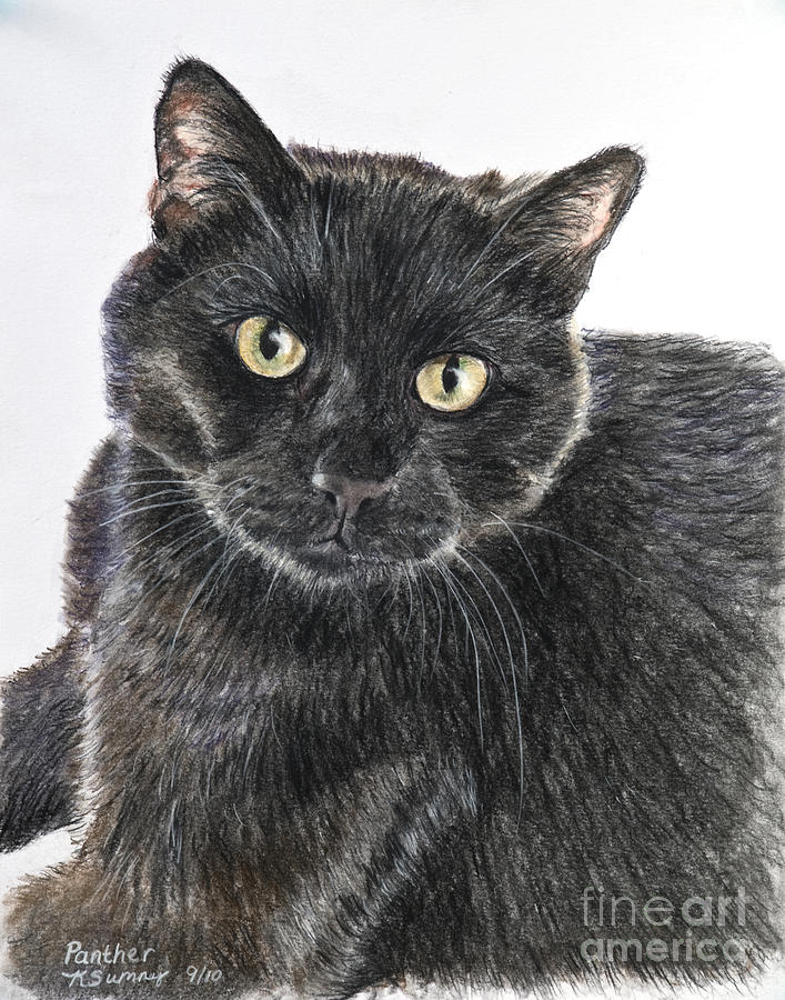 Black Cat with Golden Eyes Potholder/Towel Set