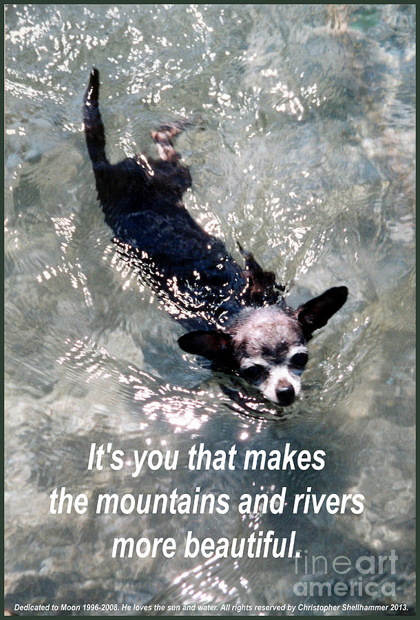 Black Chihuahua Dog Its you that makes the mountains and rivers more beautiful. Photograph by Christopher Shellhammer
