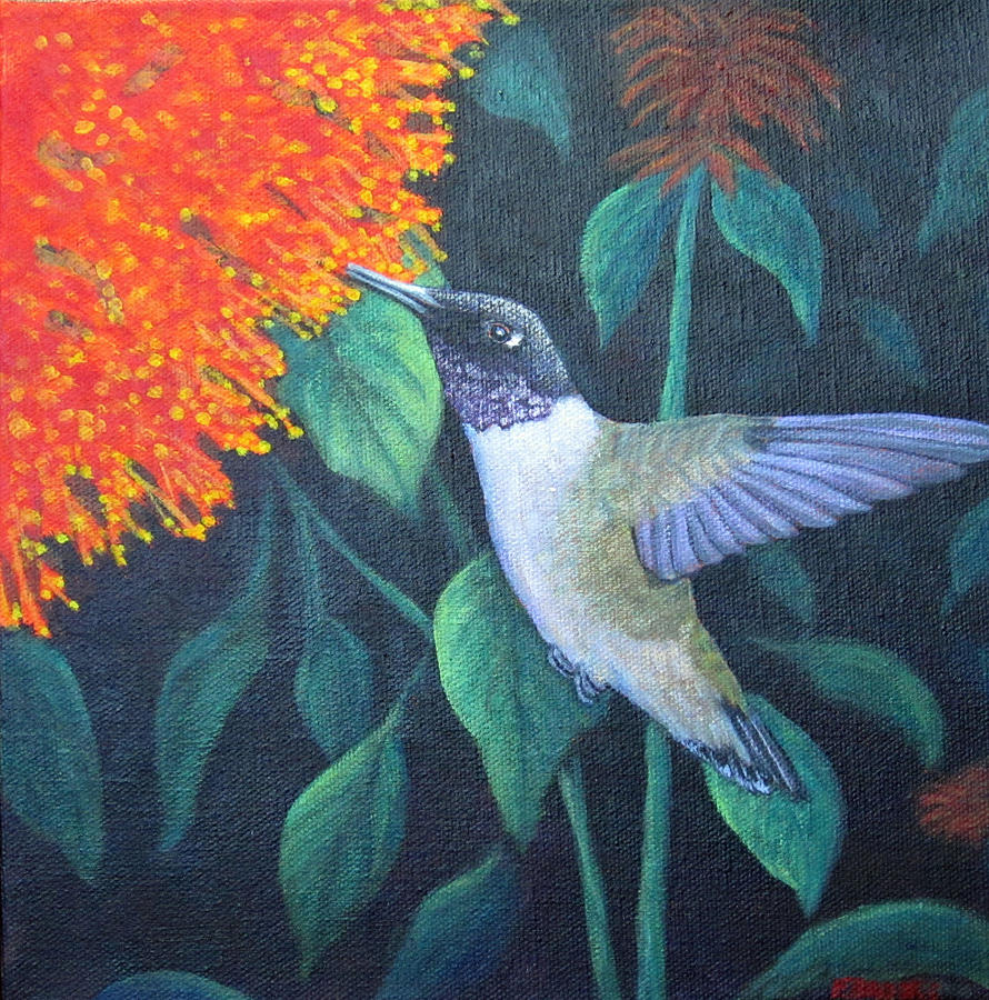 Black-Chinned Hummingbird by Fran Brooks Black-Chinned Hummingbird by Fran Brooks