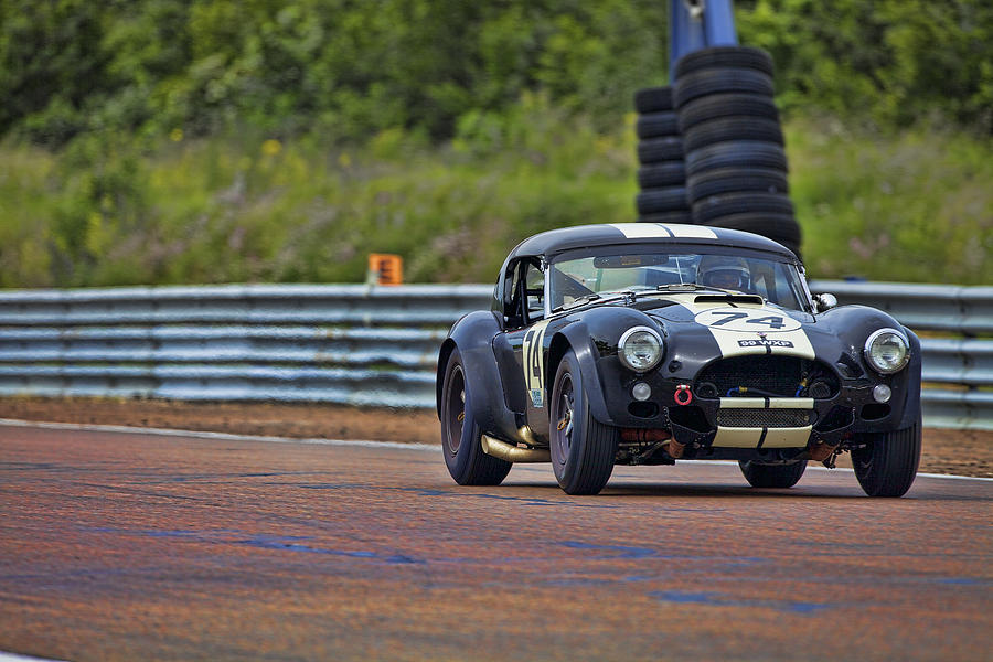 Black Cobra Photograph by Peter Falkner - Fine Art America