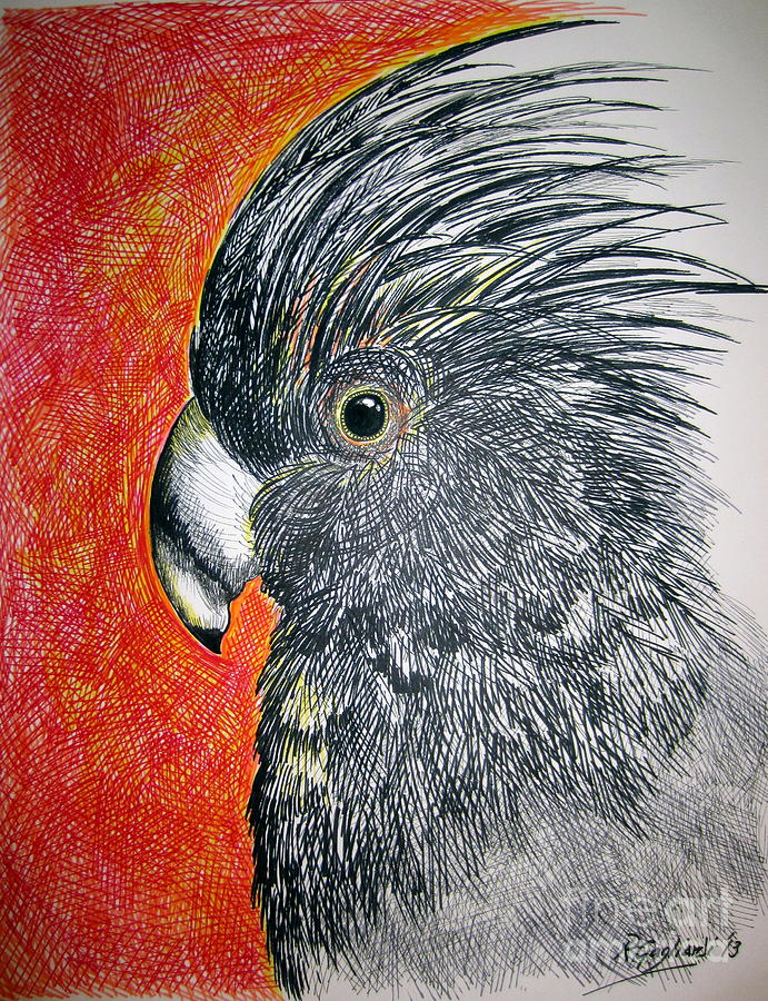 Bird Painting - Black Cockatoo by Roberto Gagliardi