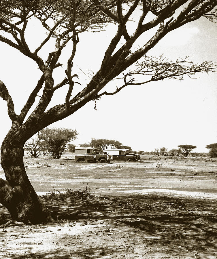 black-cotton-soil-photograph-by-anthony-howarth-fine-art-america