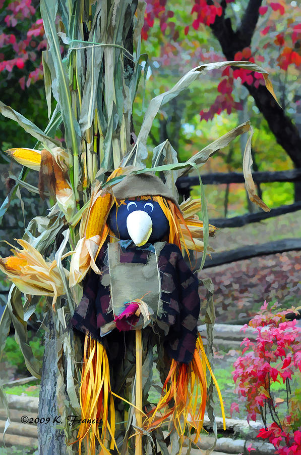 Black Crow Scarecrow Photograph by Kenny Francis