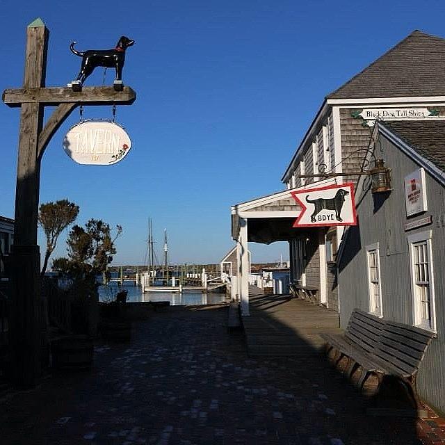 Black Dog And Coastwise Wharf, Vineyard Photograph by Martha Perry Morrissette