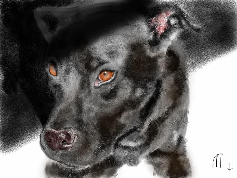 Black Dog in Shadow Painting by Lois Ivancin Tavaf