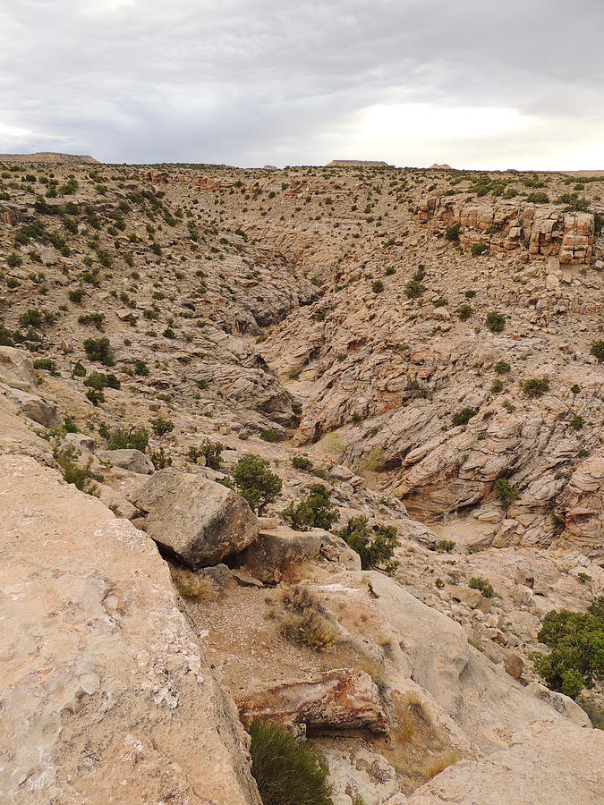 Black Dragon Canyon Vista 6642 Photograph by Andrew Chambers