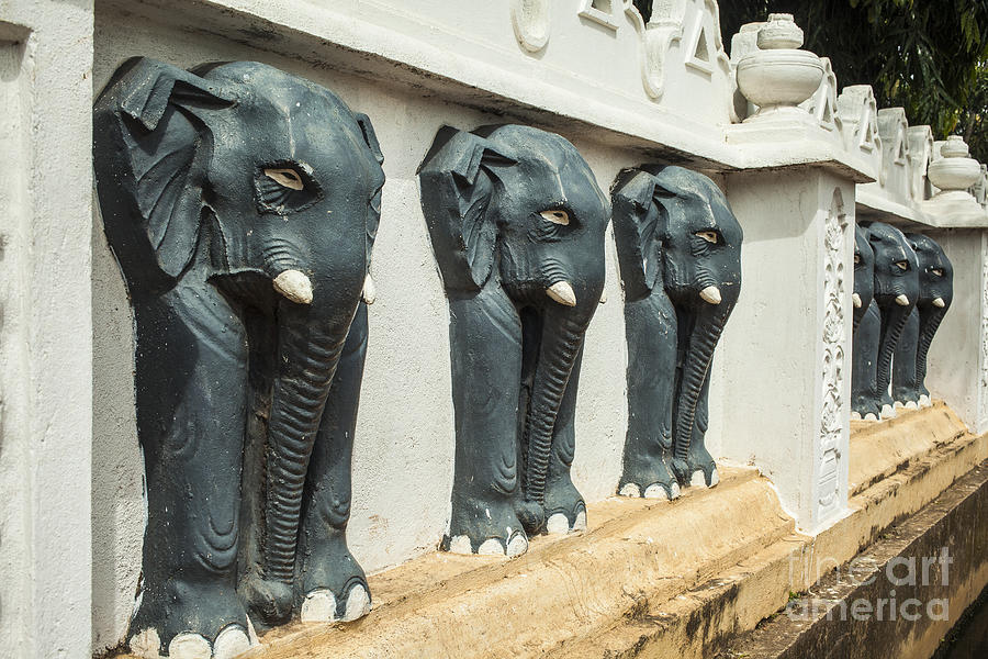 Elephant Photograph - Black elephants on temple wall by Patricia Hofmeester