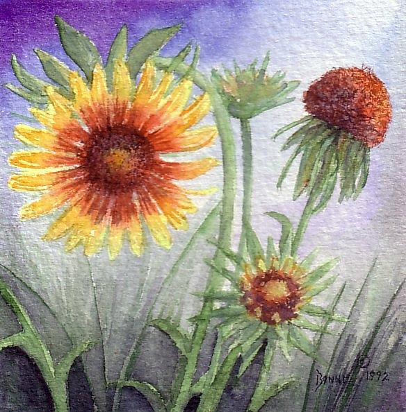 Black Eyed Susan Painting by Bonnie Kat - Fine Art America