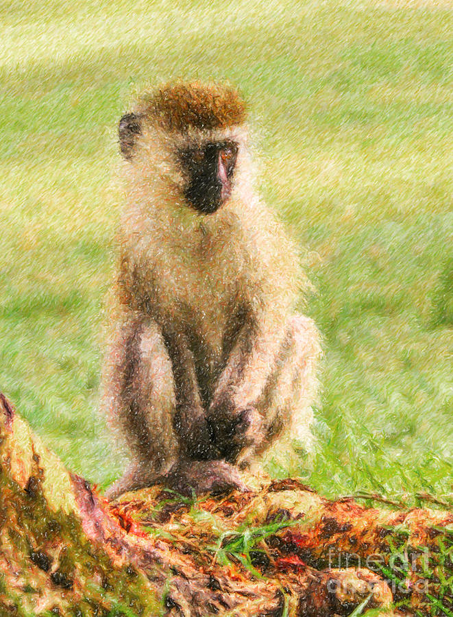 Black-faced Vervet monkey baby Digital Art by Liz Leyden
