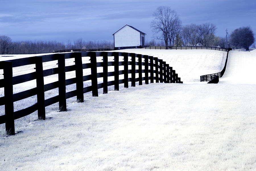Black Fence at a Horse Farm in West Michigan a Color Infrared Photograph Photograph by Randall Nyhof