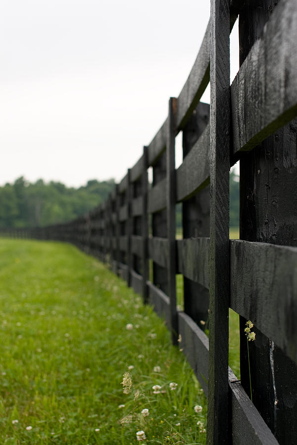 Black Fence Photograph by Edward Kay