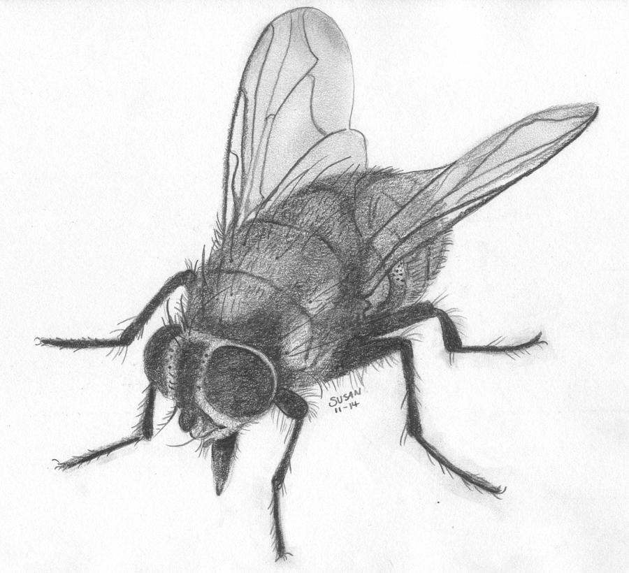 Black Fly Painting by Susan Snodgrass Pixels