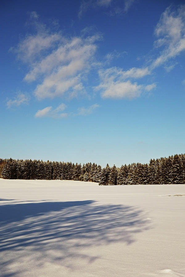 Black Forest In Winter Photograph by Jochen Schlenker