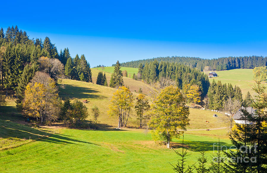 Black Forest Landscape Photograph by Stephan Pietzko - Fine Art America