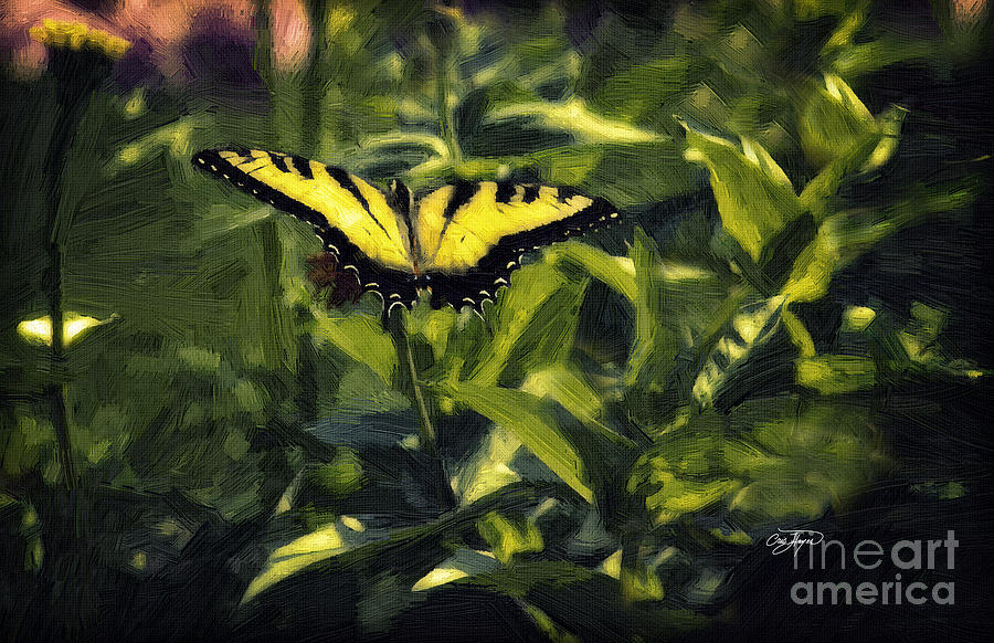 Butterfly Painting - Black Gold Oil by Cris Hayes