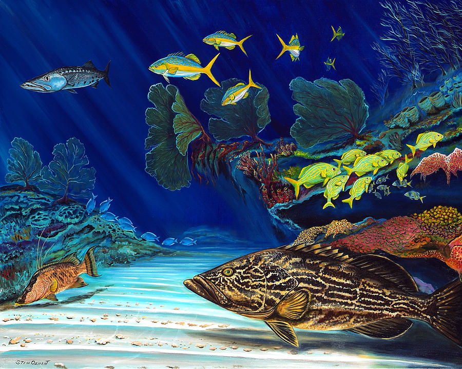 Black grouper reef Painting by Steve Ozment