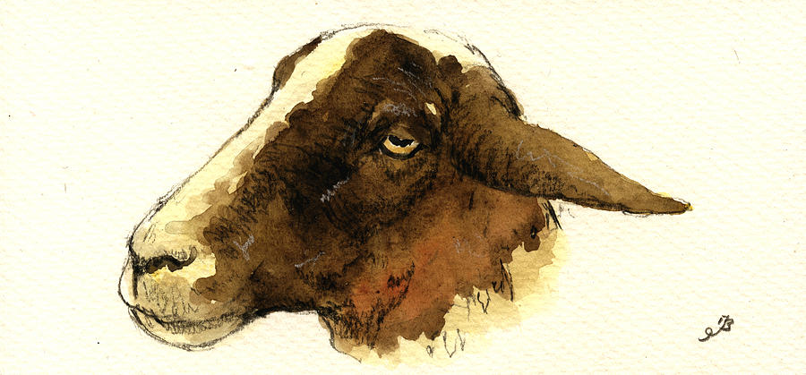 Sheep Painting - Black head sheep by Juan  Bosco