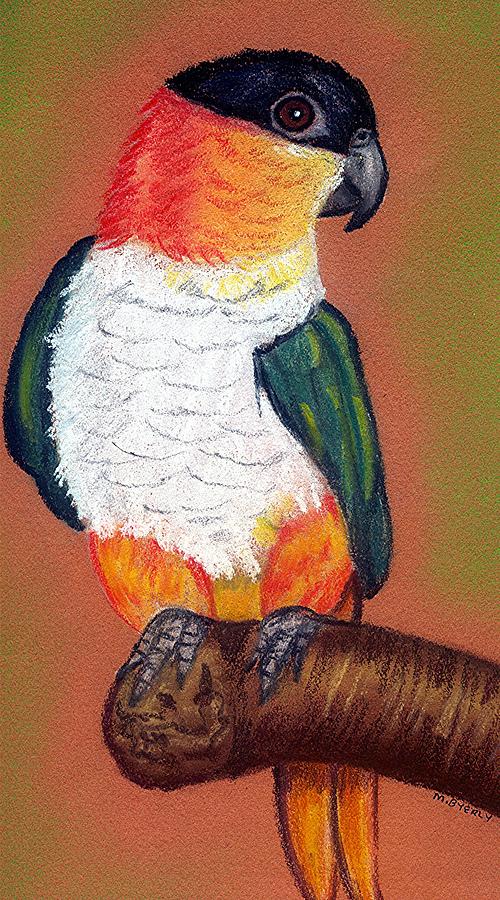 Black Headed Caique Bird   Pastel by Olde Time  Mercantile