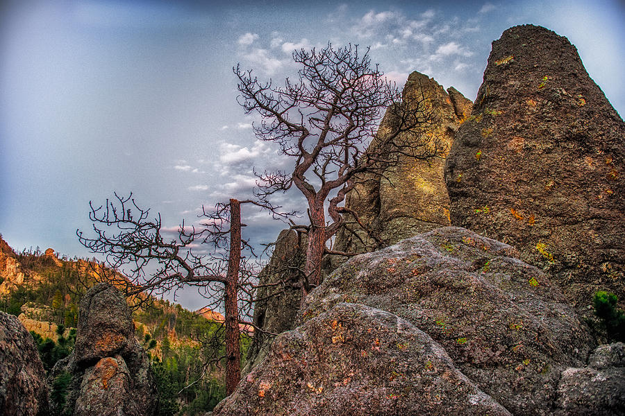 Black Hills Boulders Photograph by Paul Freidlund