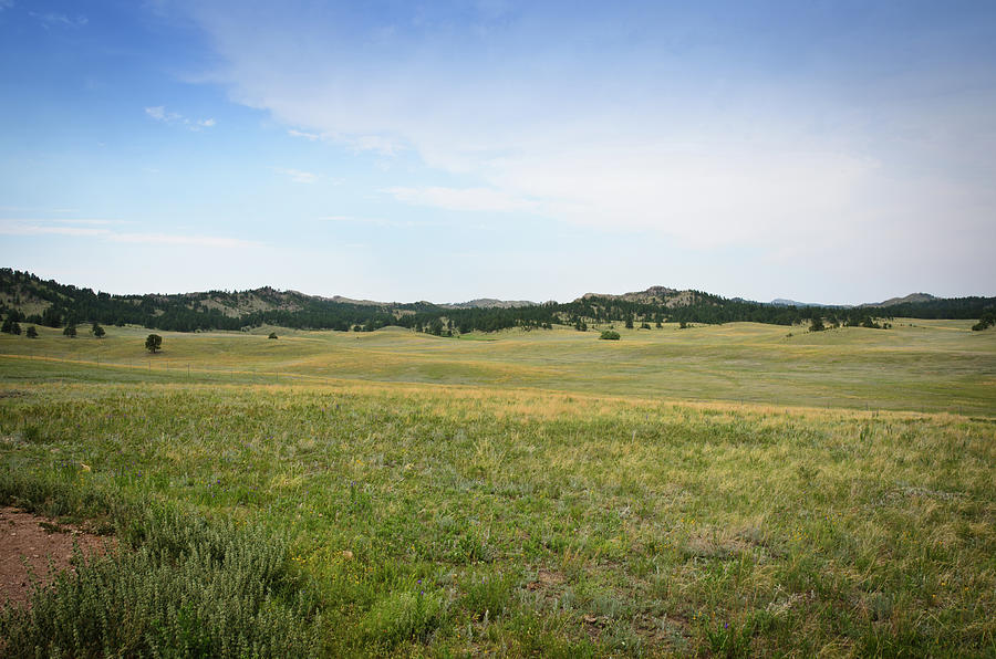 Black Hills, South Dakota by Ds70