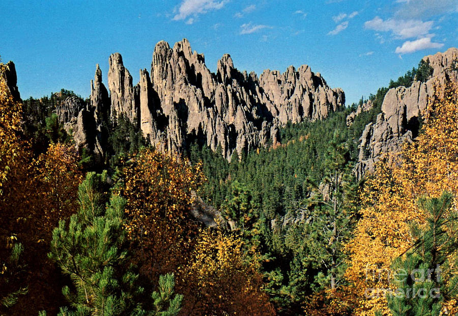 Black Hills South Dakota by Ruth Housley