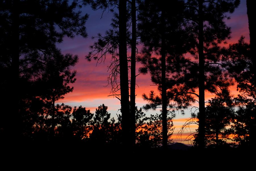 Black Hills Sunset Photograph by Greni Graph