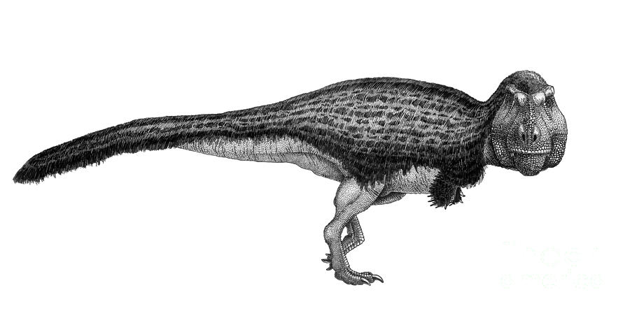 Black And White Digital Art - Black Ink Drawing Of Tyrannosaurus Rex by Vladimir Nikolov