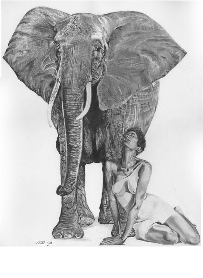 Black Ivory Drawing by Terri Meredith