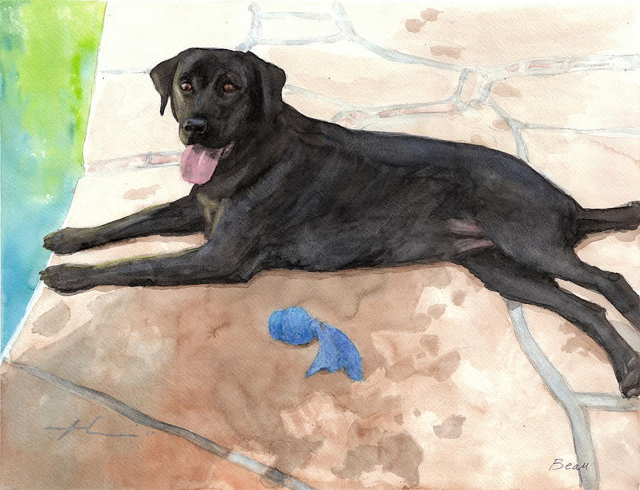 Black Lab By The Pool Watercolor Portrait Drawing by Mike Theuer Black Lab By The Pool Watercolor Portrait Drawing by Mike Theuer