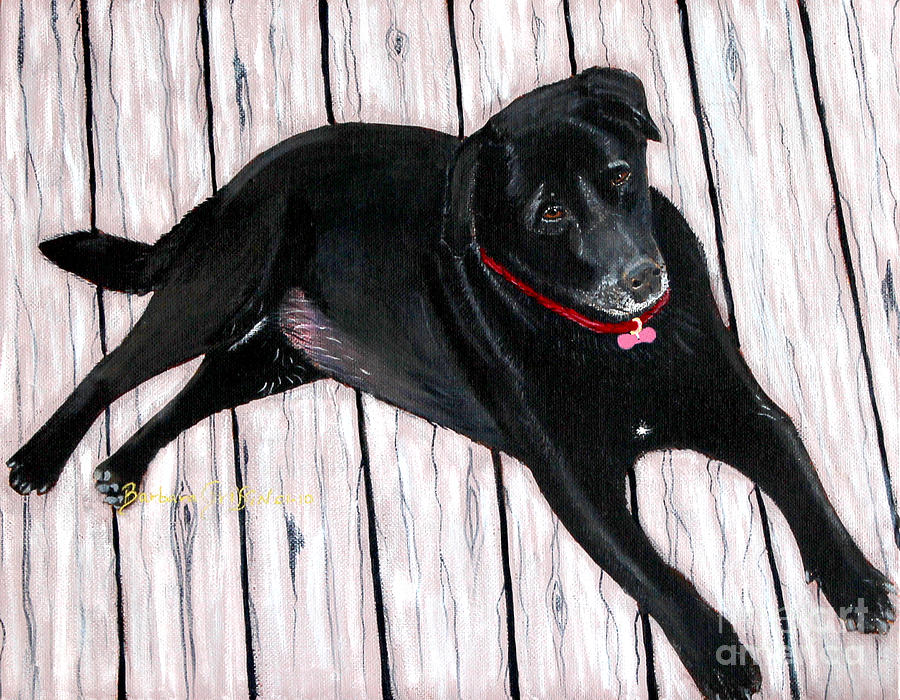 Black Labrador  Painting by Barbara A Griffin