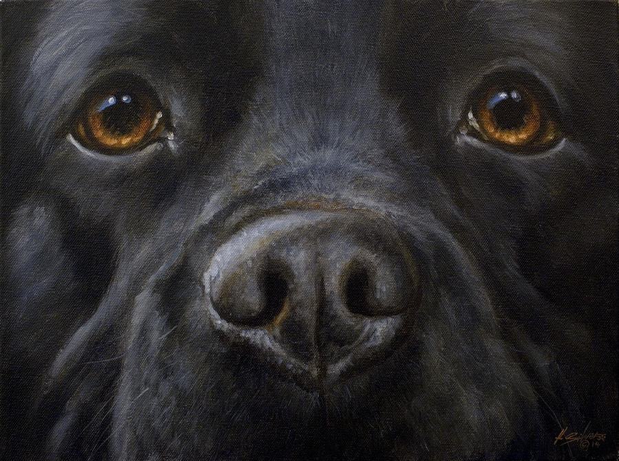 Curious Black Labrador Retriever Dog Close Up Photo Art Print Poster 18x12 inch 
