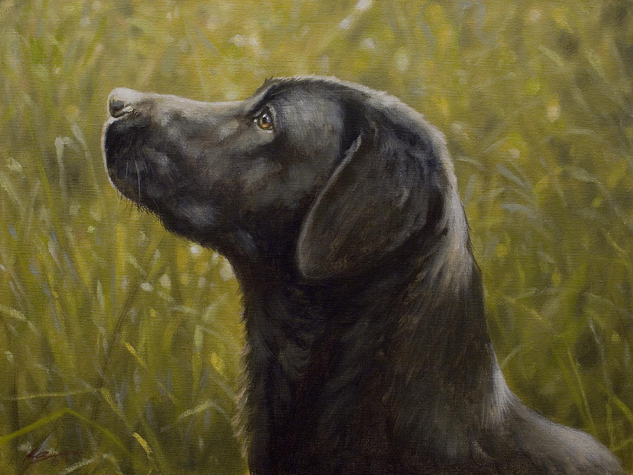 Black Labrador Portrait I Painting by John Silver